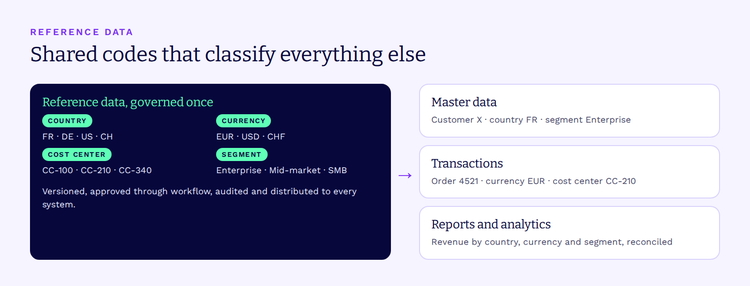 Reference data such as country, currency and cost center codes classifies master and transactional data across systems