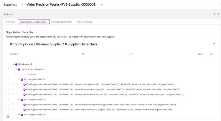 EBX supplier hierarchy view by country, parent supplier and supplier relationships.