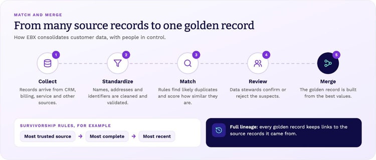 Match and merge in five steps: collect, standardize, match, review and merge, with survivorship rules and full lineage.