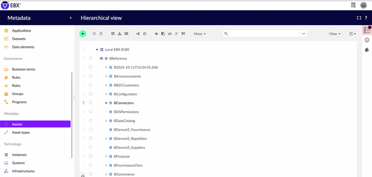 EBX Metadata asset hierarchy with a governed EBX instance expanded into its dataspaces