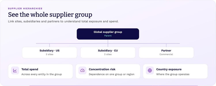 Supplier hierarchy: a global supplier group with US and EU subsidiaries and a partner, enabling total spend, concentration risk and country exposure analysis.